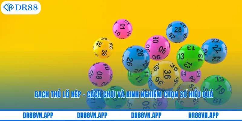 Bạch Thủ Lô Kép – Cách Chơi Và Kinh Nghiệm Chọn Số Hiệu Quả 4 Bạch Thủ Lô Kép – Cách Chơi Và Kinh Nghiệm Chọn Số Hiệu Quả