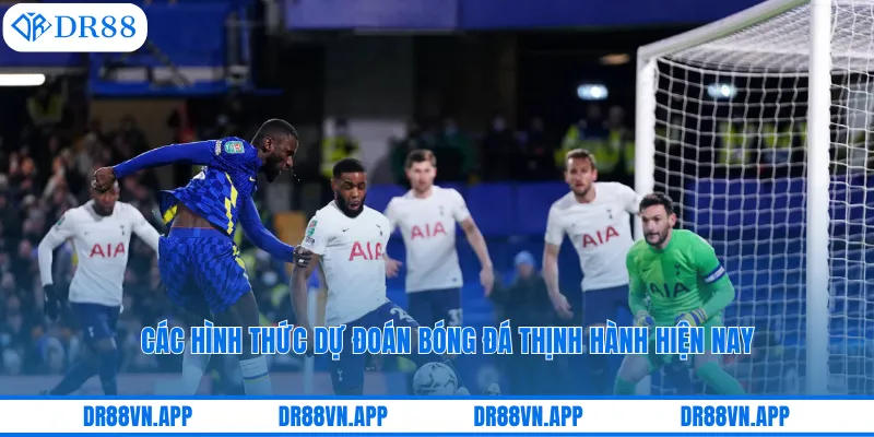 Các hình thức dự đoán bóng đá thịnh hành hiện nay